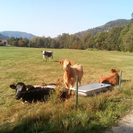 Escale Bussenette Apartment