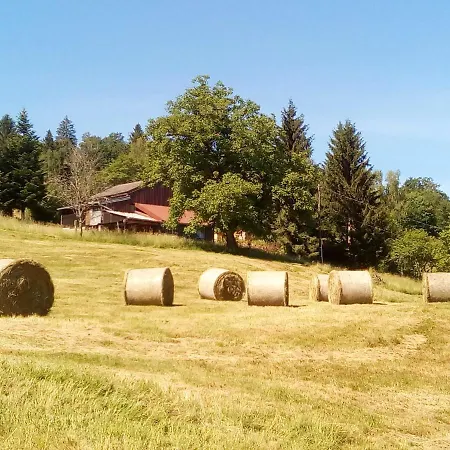 Escale Bussenette Apartment *