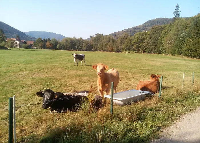 Escale Bussenette Lägenhet